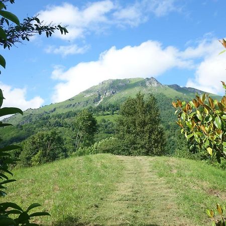 Gite Montagne Et Vie Bedous Eksteriør billede